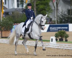 dressage horse Theodoor (KWPN (Royal Dutch Sporthorse), 2000, from Métall)