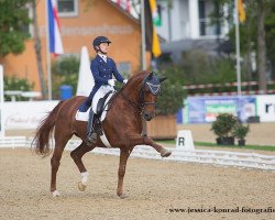 dressage horse Vom Feinsten (Rhinelander, 2003, from Fidermark)