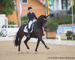 dressage horse Roosens Westpoint (KWPN (Royal Dutch Sporthorse), 2003, from Lancet 2)