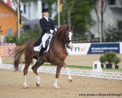 dressage horse Fantomas IV (Westphalian, 1998, from Florestan I)