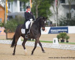 dressage horse Lawrence 32 (Westphalian, 2004, from Laomedon)