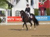 dressage horse Gevelts Donna Tella (Danish Warmblood, 2003, from Don Schufro)