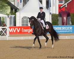 dressage horse Gevelts Donna Tella (Danish Warmblood, 2003, from Don Schufro)