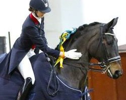 dressage horse Waverly (KWPN (Royal Dutch Sporthorse), 2003, from Polansky)