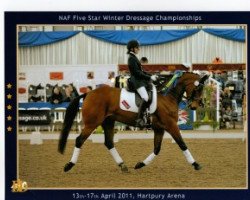 dressage horse Highcliffe Apollo (Hanoverian, 2002, from Der Lenz)