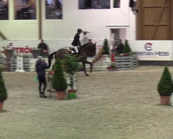 Nordic Jumping events 2020