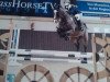 jumper Evolution (Hanoverian, 2006, from El Bundy II)