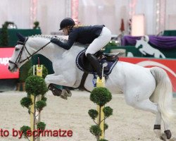 Springpferd Chalou RS (Hessisches Warmblut, 2006, von Chalet)