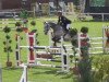 jumper Carricoko (German Sport Horse, 2010, from Carrico)