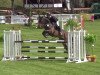 jumper Cocolotta K (Hanoverian, 2010, from Cristallo I)