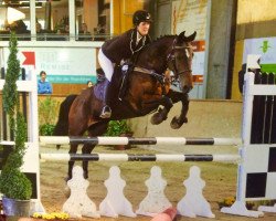 jumper Charley 19 (KWPN (Royal Dutch Sporthorse), 2007, from Pierrot)