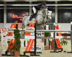 jumper Levino 32 (German Sport Horse, 2013, from Levisonn 208 FIN)