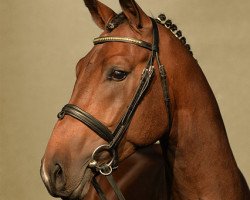 stallion Forbes (Hanoverian, 2011, from Fidertanz)