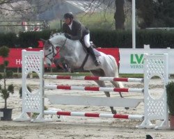 jumper Cosimo 59 (Oldenburg show jumper, 2010, from Cellestial)