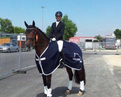 dressage horse Glück 3 (KWPN (Royal Dutch Sporthorse), 2011, from San Remo)