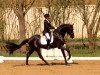 dressage horse Fürst Häpke (Hanoverian, 2011, from Fürst Nymphenburg II)