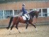 dressage horse Fabelwesen Rl (Westphalian, 2011, from Florenciano 6)