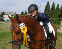 Springpferd Chirocee 2 (Deutsches Reitpony, 2006, von Charm of Nibelungen)