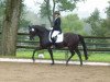 dressage horse Sunstreet (Bavarian, 2006, from San Romantiko)