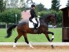 dressage horse Le Bon Amie (Westphalian, 2004, from Laomedon)