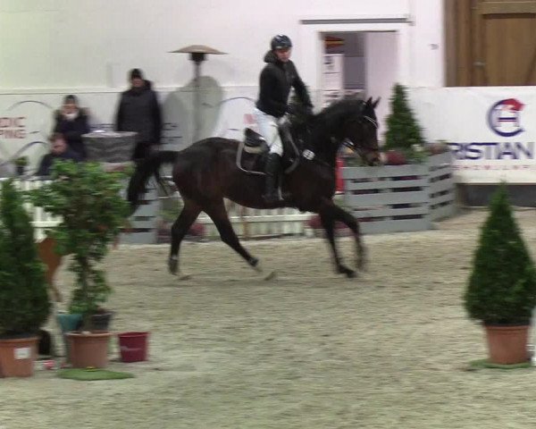 Nordic Jumping events 2020