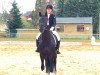 jumper Diaronjo (Oldenburg show jumper, 2010, from Diarado)