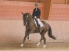 dressage horse Fabriano 73 (Hanoverian, 2009, from For Compliment)