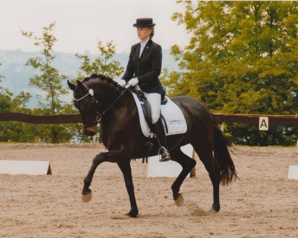 dressage horse Royal Rose 9 (Oldenburg, 2000, from Roncalli xx)