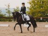 dressage horse Royal Rose 9 (Oldenburg, 2000, from Roncalli xx)