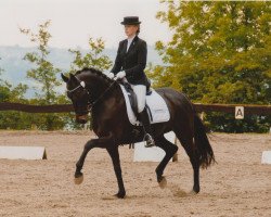 dressage horse Royal Rose 9 (Oldenburg, 2000, from Roncalli xx)