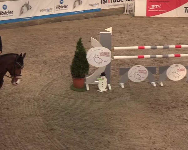Nordic Jumping events 2020