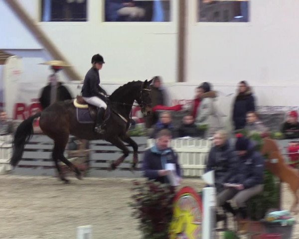 Nordic Jumping events 2020