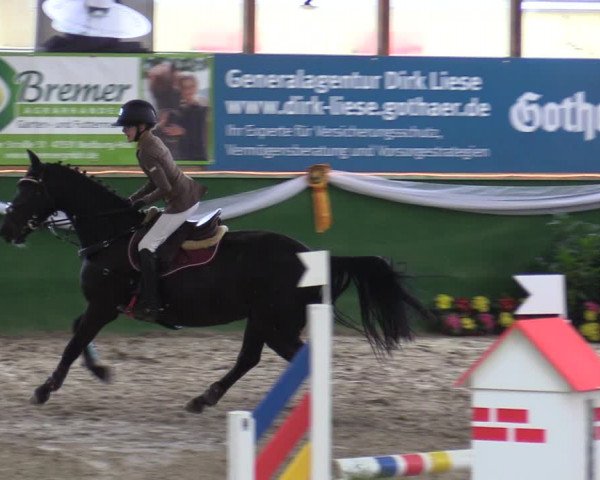 Reitturnier Keppeln - Reitanlage "Hötzenhof" 2020