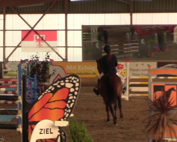 Große Jumping-Trophy Pausin 2021