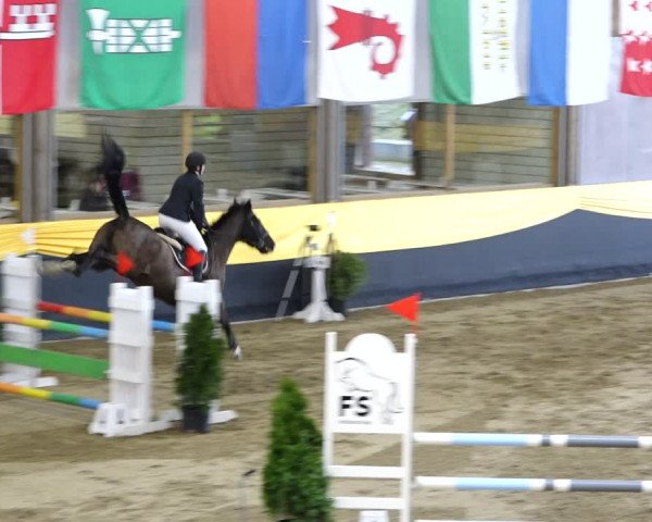 Reitturnier Erlen 2020