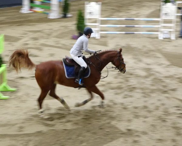 Reitturnier Erlen 2020