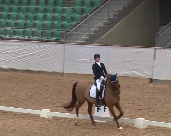 Reitturnier Kreuth/Opf. 2020
