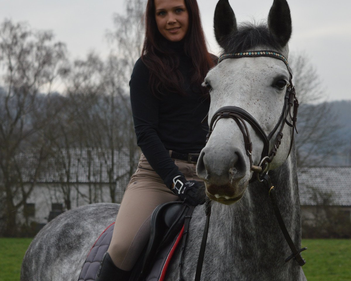 jumper Contessa La Chica (German Sport Horse, 2010, from Camax L)