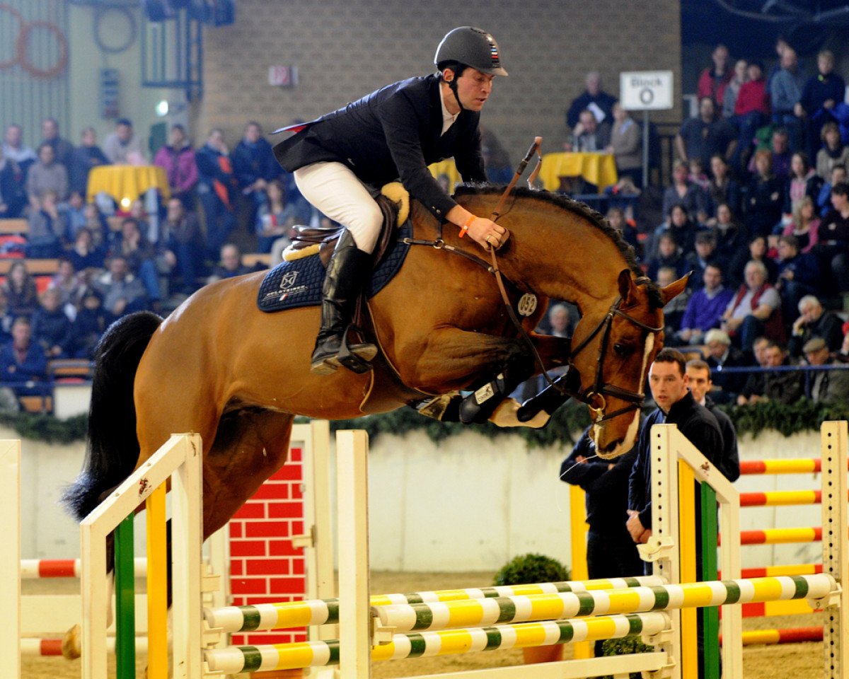 stallion Dinken (Holsteiner, 2010, from Diarado)
