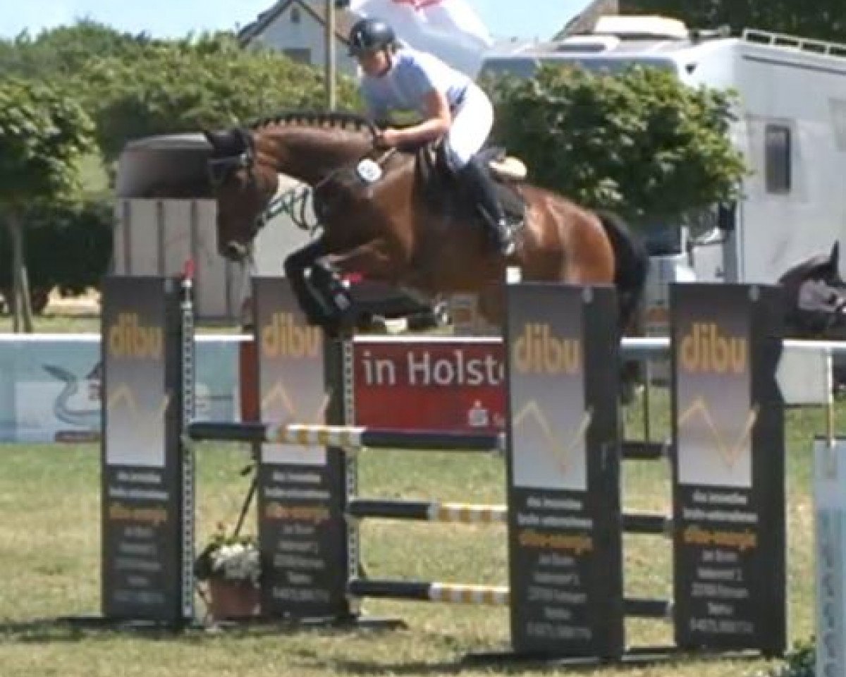 Springpferd Ciarada 2 (Holsteiner, 2010, von Diarado)