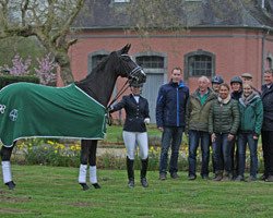 broodmare Rubina (Rhinelander, 2013, from Rubinio NRW)