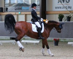 dressage horse Lobuz 2 (Polish Warmblood, 2009, from Klejnot)