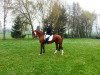 broodmare La Bonita 60 (Sachs-door. Heavy Warmbl., 2008, from Lord Brown)