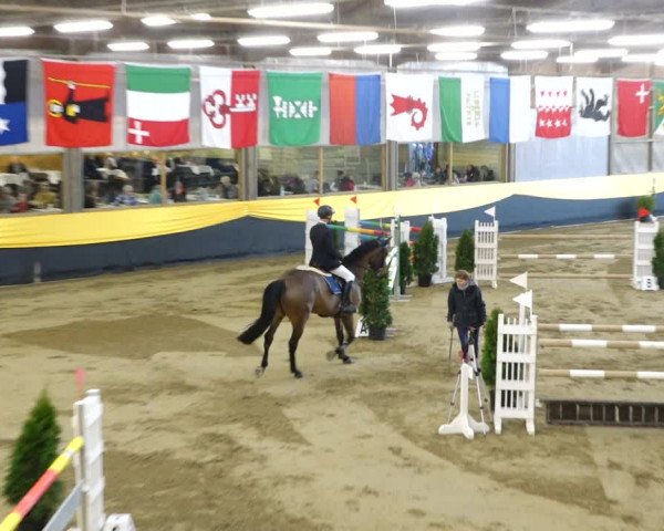 Reitturnier Erlen 2020