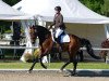 dressage horse Real Bahia Blue (Westphalian, 2006, from Real Diamond)