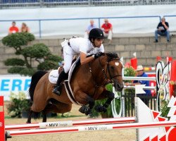 jumper Luron S Z (Zangersheide riding horse, 2007, from Lord Z)