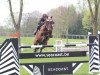 jumper Vici R (Belgium Sporthorse, 2003, from Darco)