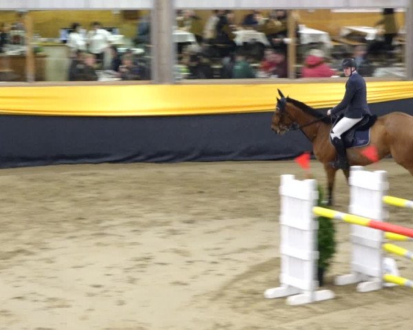 Reitturnier Erlen 2020
