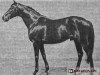 stallion Negresco xx (Thoroughbred, 1957, from Sica Boy xx)