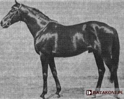 stallion Negresco xx (Thoroughbred, 1957, from Sica Boy xx)